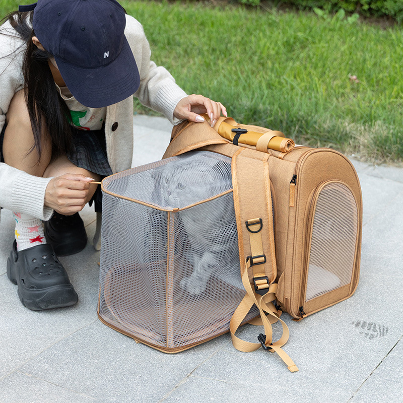 Portable cat bag, expandable l – обзор и цена Foldable Backpack Small