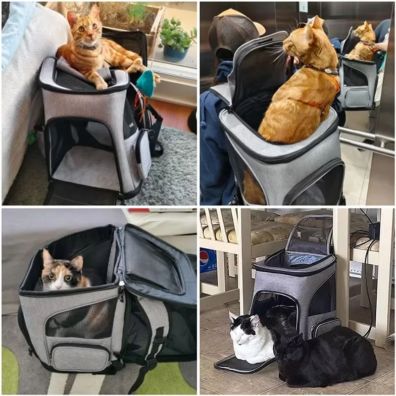 Cat Bag Outdoor Portable Cat B – обзор и цена Foldable Backpack Small